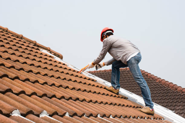 Best Roof Coating and Sealing  in Levelland, TX